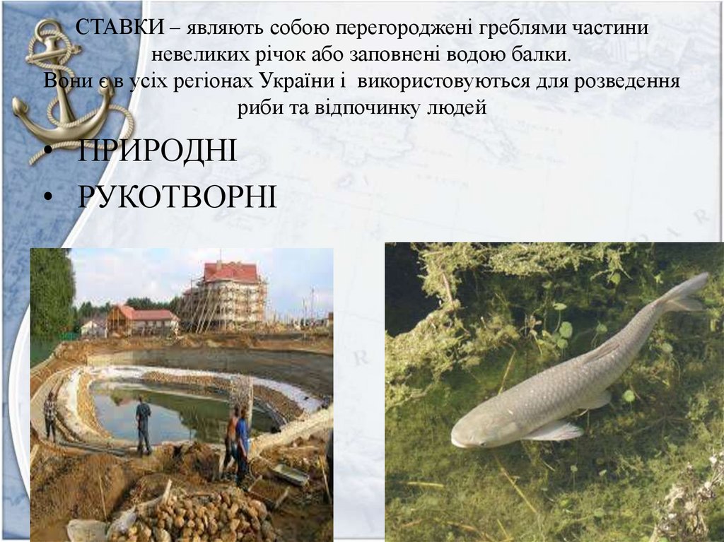 СТАВКИ – являють собою перегороджені греблями частини невеликих річок або заповнені водою балки. Вони є в усіх регіонах України