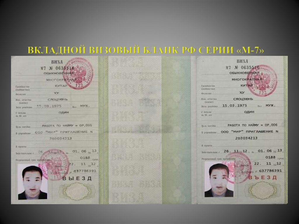Регистрация визы в россии