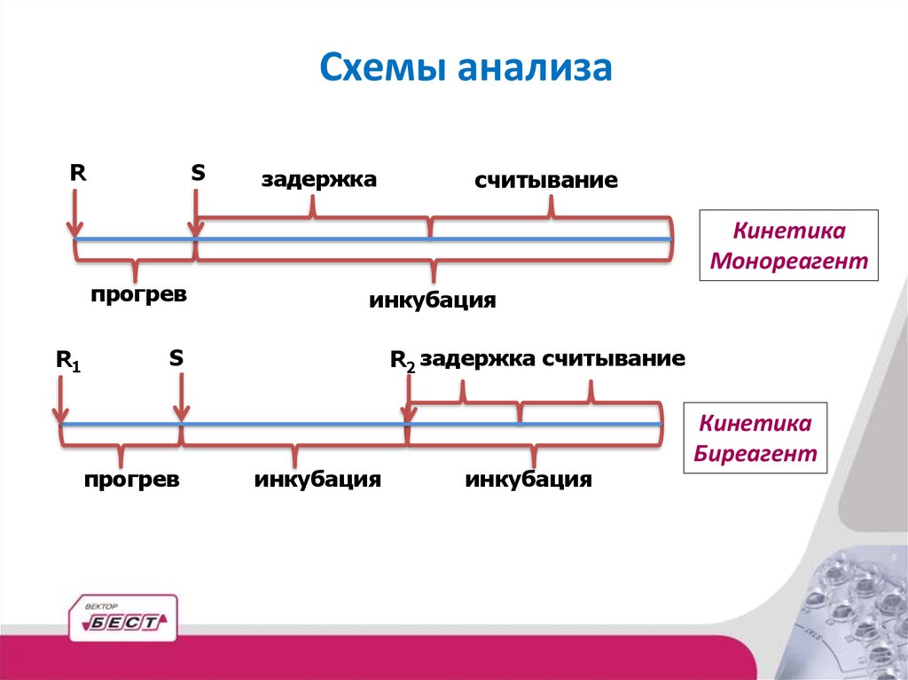 Задержка анализов. Автоматик биохимия анализа- Тори.