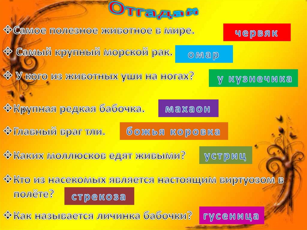 Тест беспозвоночные 7 класс. Беспозвоночные тест.