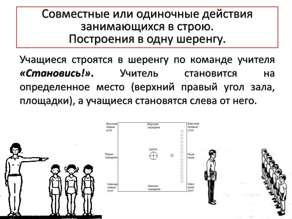 Перестроения в детском саду. Построения и перестроения в гимнастике. Построение в шеренгу схема. Команда для построения в шеренгу. Построение в шеренгу на гимнастике.