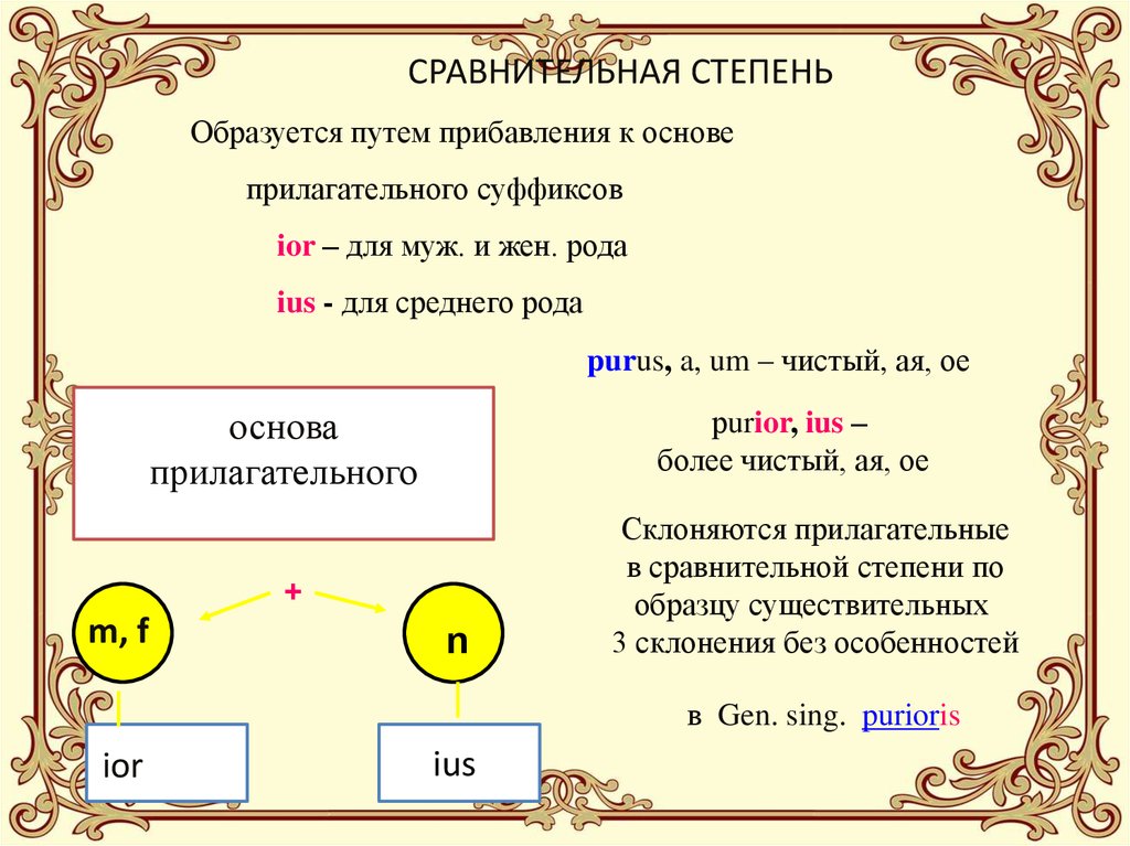 Имя прилагательное латынь