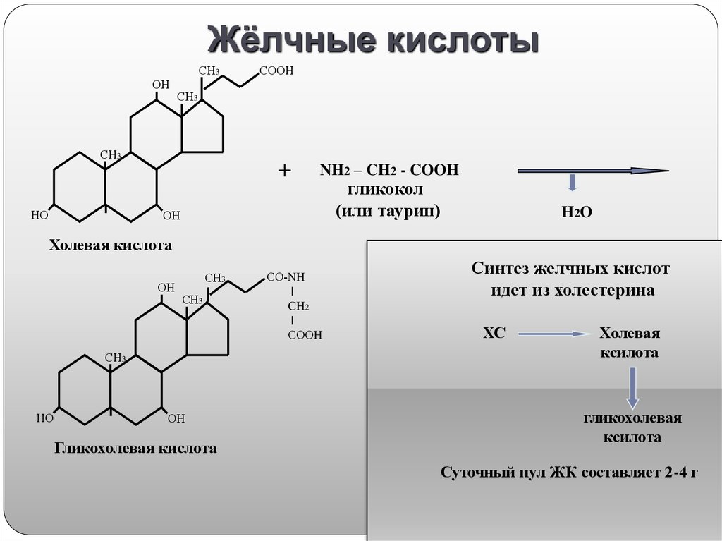 Биохимия печени