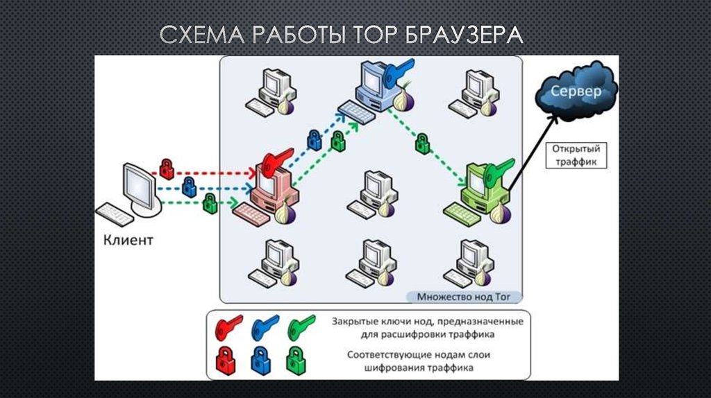 Что такое проект тор