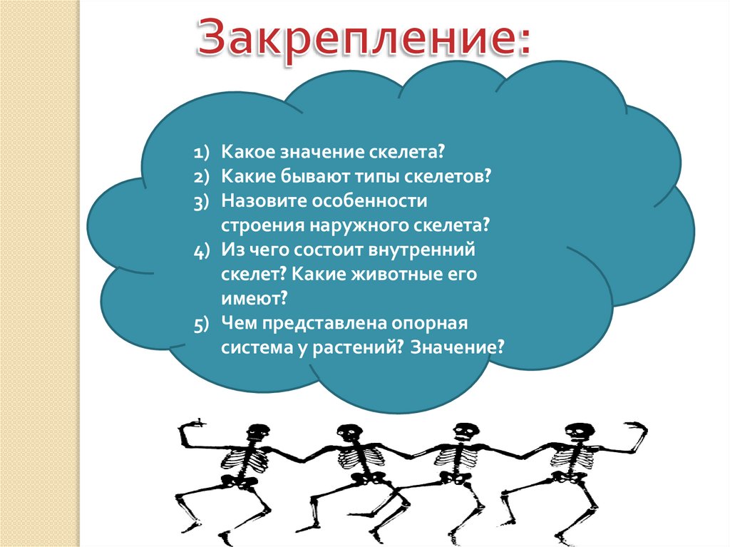 Назовите особенности. Типы скелетов. Какие бывают виды скелетов. Какое значение скелета. Типы скелетов 7 класс.