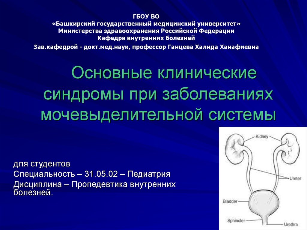 Почечные синдромы презентация