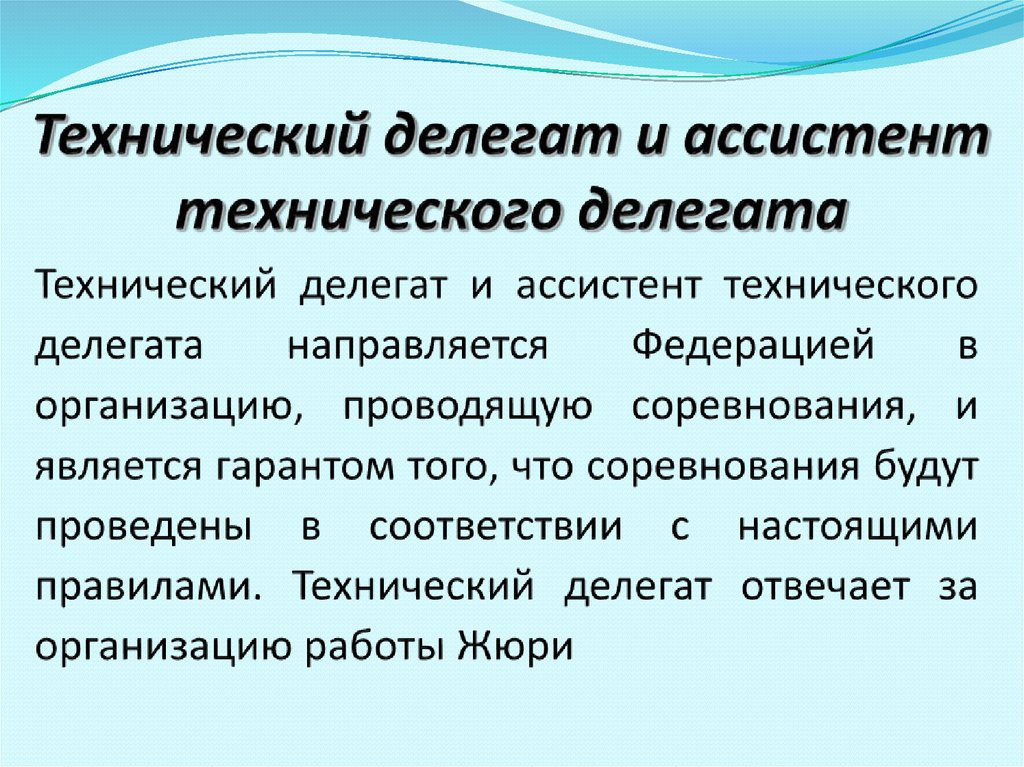 Технический делегат и ассистент технического делегата