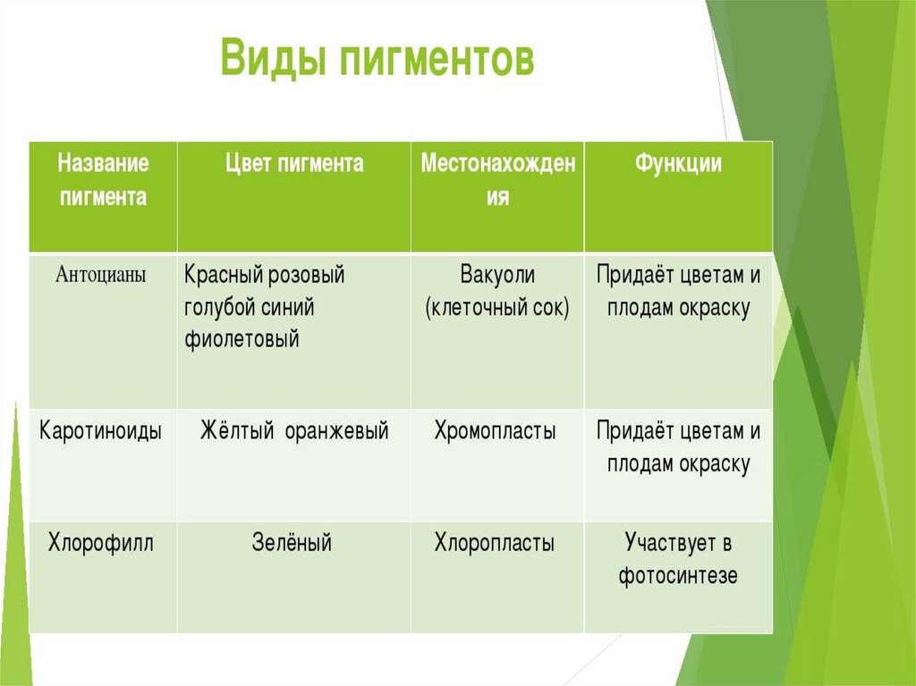 Состояние пигмента. Пигменты растительных клеток таблица. Виды пигментов растений. Названия пигментов растений. Пигменты листа растения.