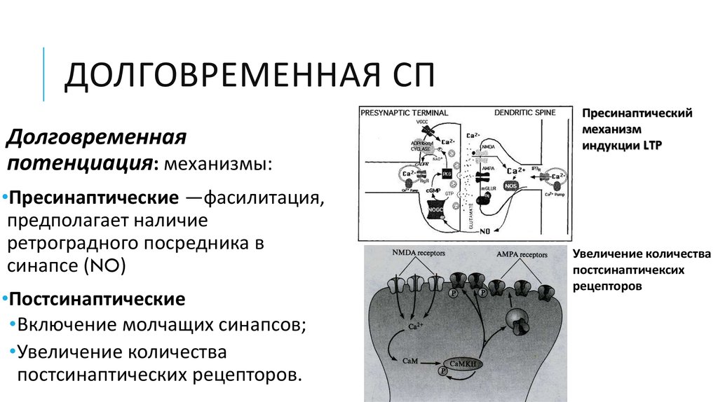 Долговременная адаптация состава топливовоздушной смеси вольво