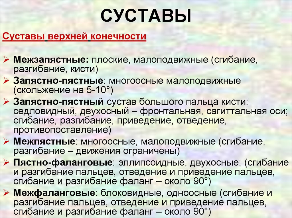 Суставы верхней конечности