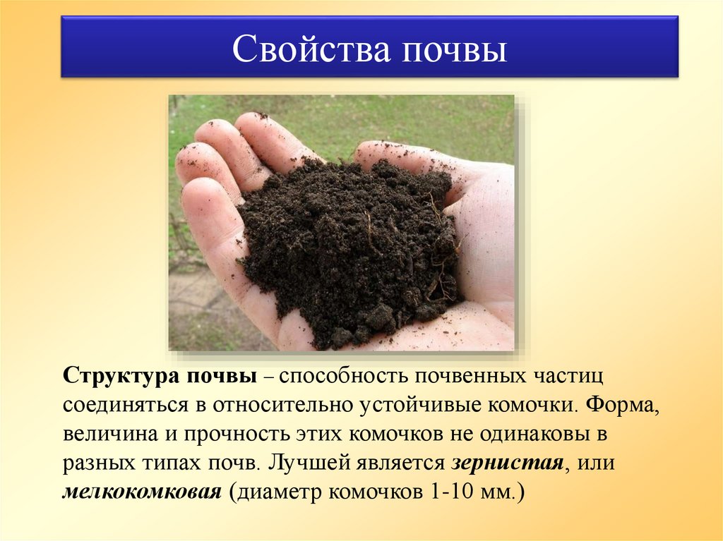 Почва является системой. Комковато-зернистая структура почвы. Структура почвы. Состав и структура почвы. Структурная почва.