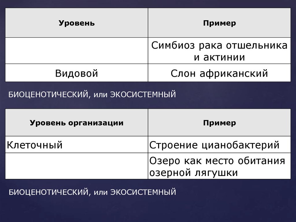 Симбиоз уровень организации живой природы