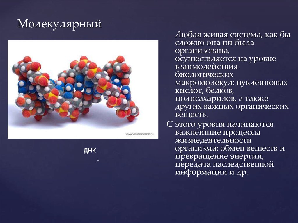 Уровень живой материи пропущен