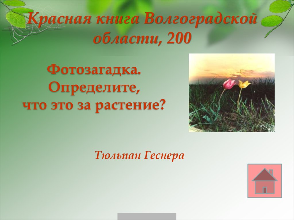 Красная книга Волгоградской области, 200