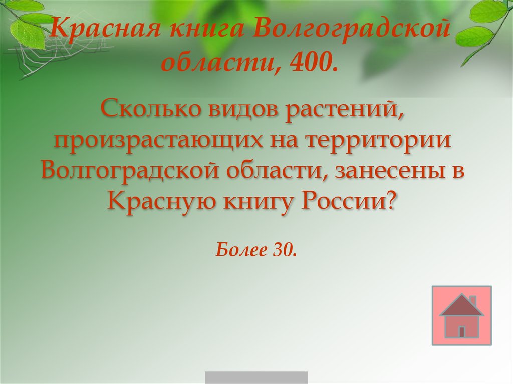 Животные красной книги пермского края презентация