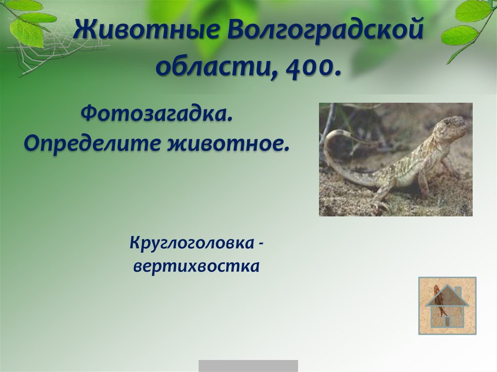 Животные Волгоградской области, 400.