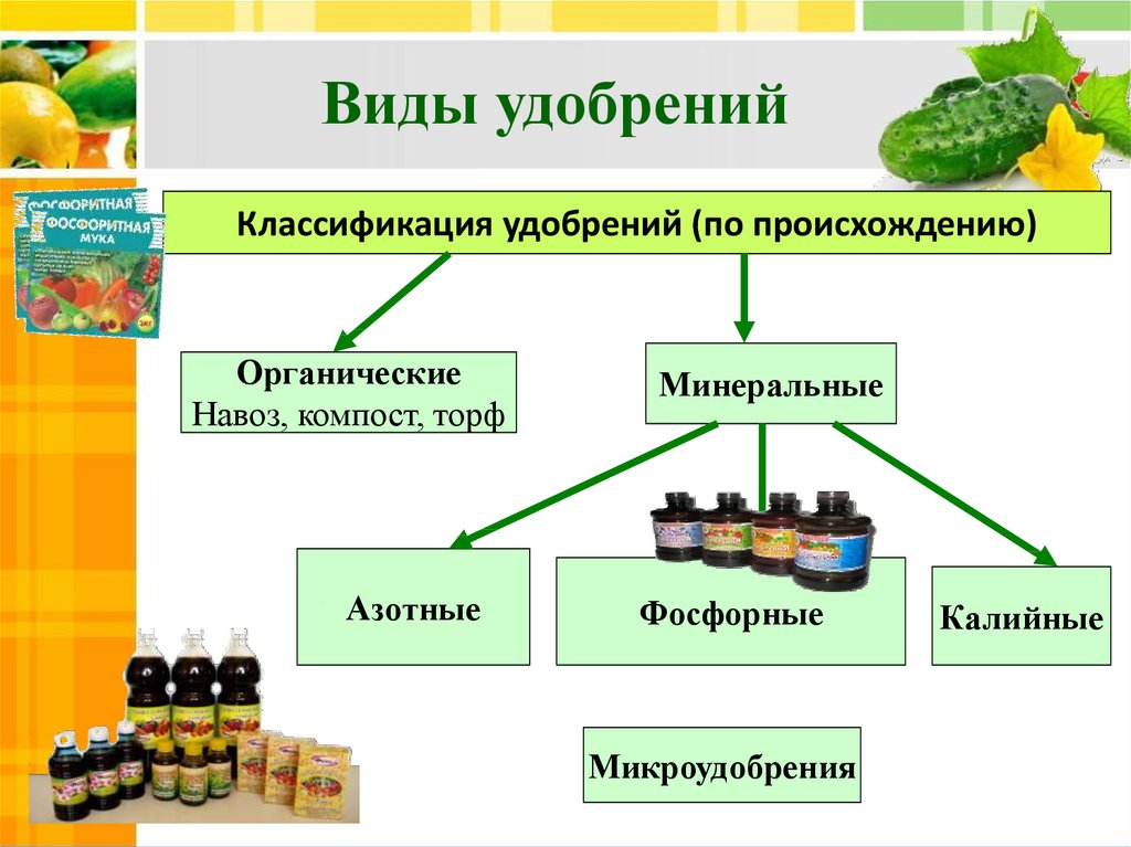 Влияние удобрений на рост и развитие растений проект