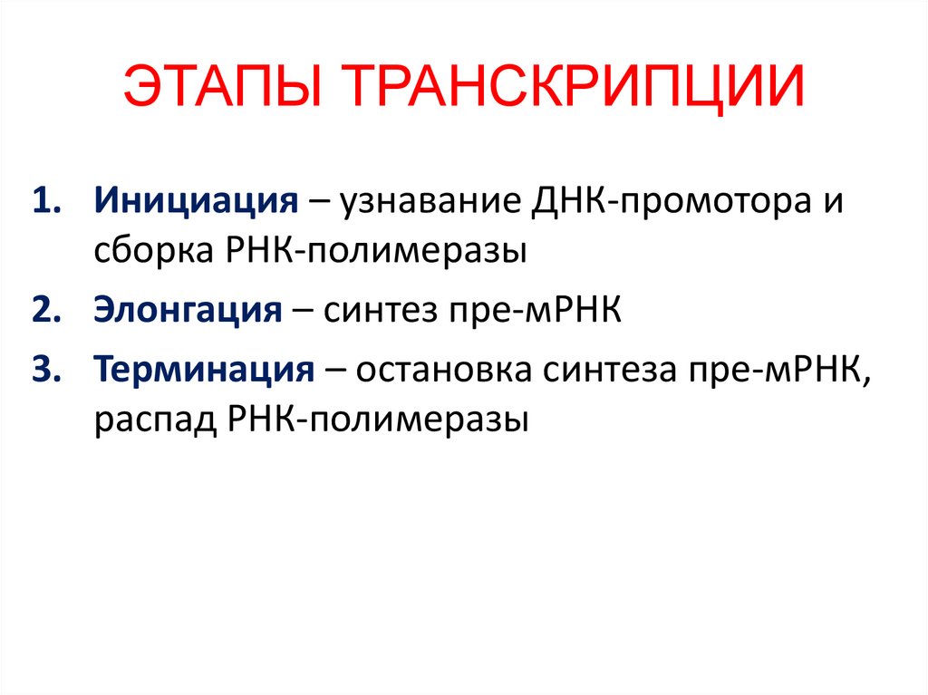 Этапы транскрипции. Стадии транскрипции. Транскрипция ДНК этапы. Этапы инициации транскрипции. Транскрипция последовательность процессов.