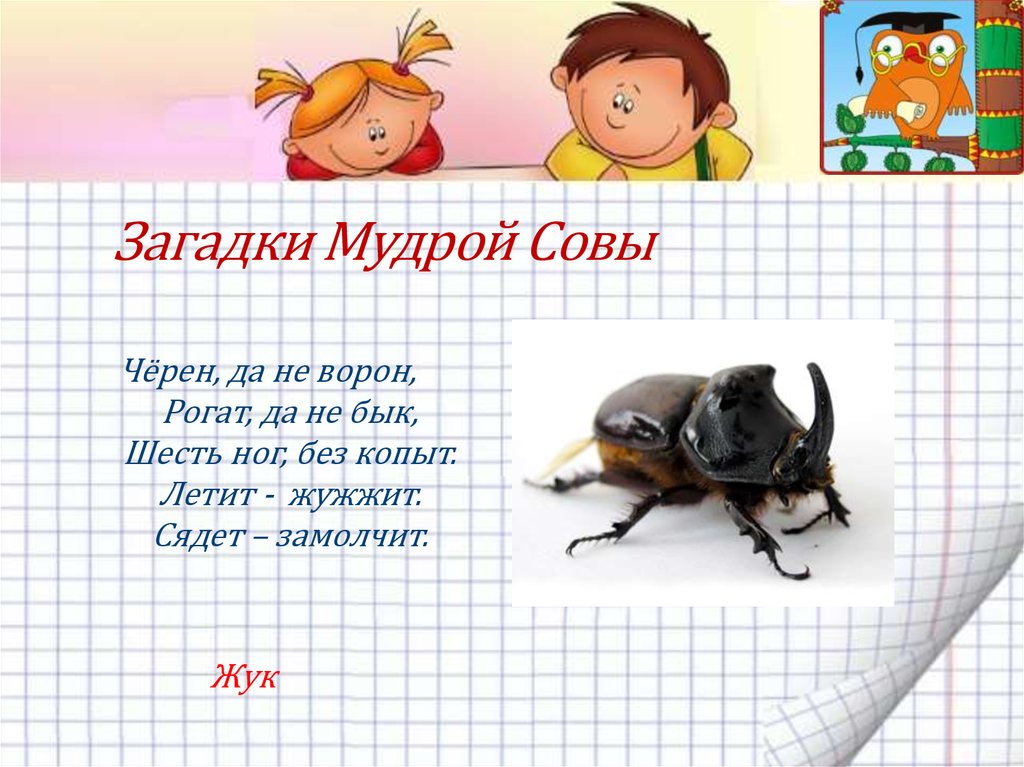 Не жужжу когда сижу. Загадка про жука. Мудрые загадки. Загадка про жука для детей. Умные загадки.