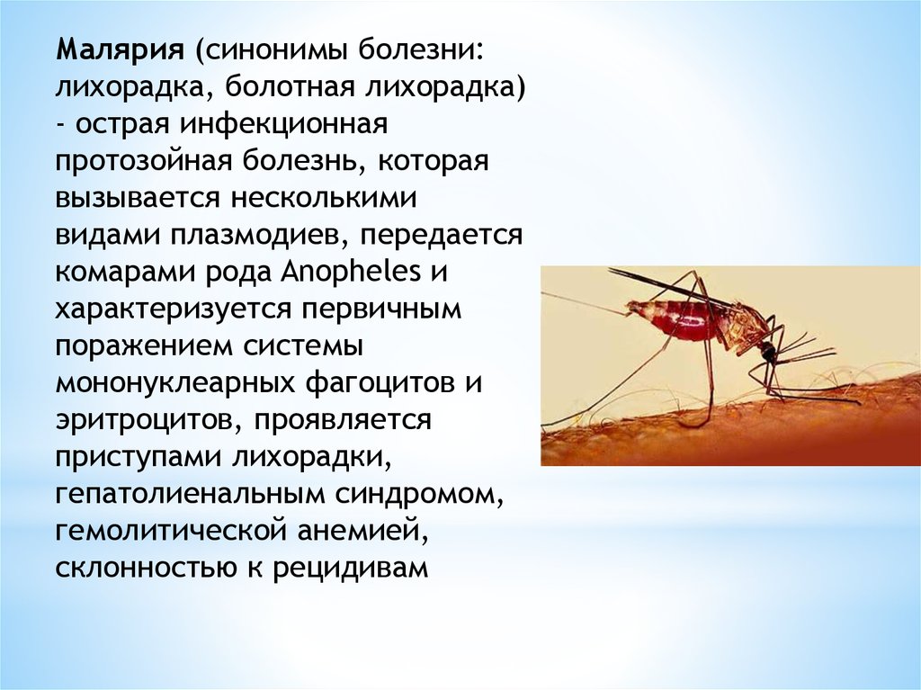 Малярия является заболеванием человека. Малярийный комар возбудитель. Возбудитель малярии в Комаре. Малярийный комар заболевания. Малярийный плазмодий заболевание.