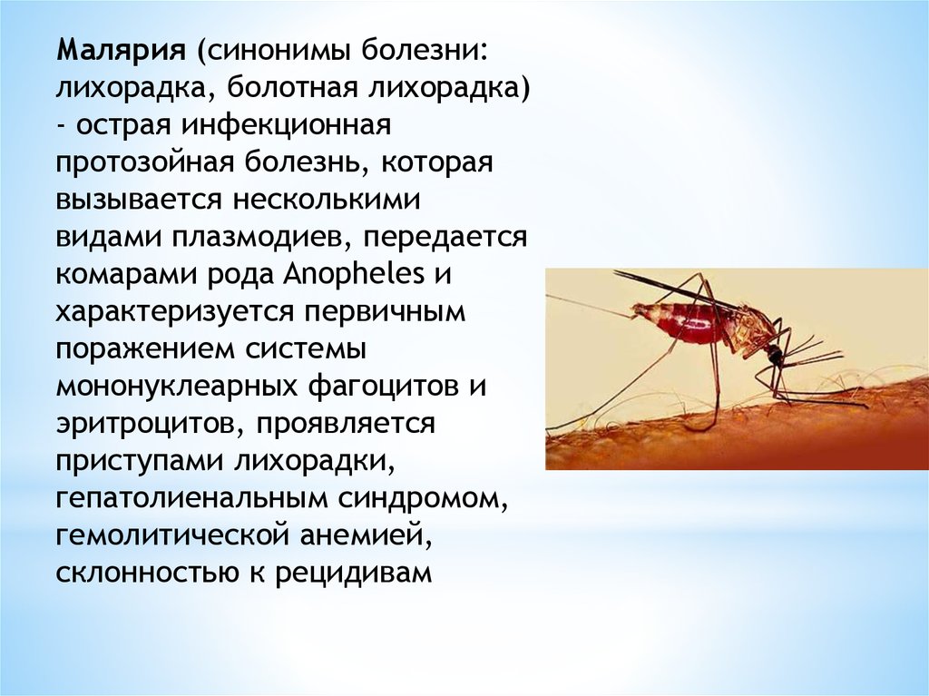 Заболел малярией. Малярийный комар возбудитель. Возбудитель малярии в Комаре. Малярийный комар заболевания. Малярийный плазмодий заболевание.