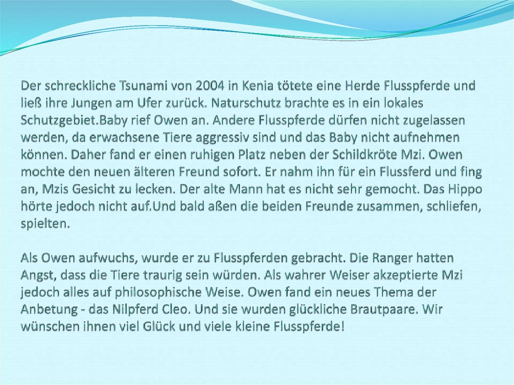 Der schreckliche Tsunami von 2004 in Kenia tötete eine Herde Flusspferde und ließ ihre Jungen am Ufer zurück. Naturschutz