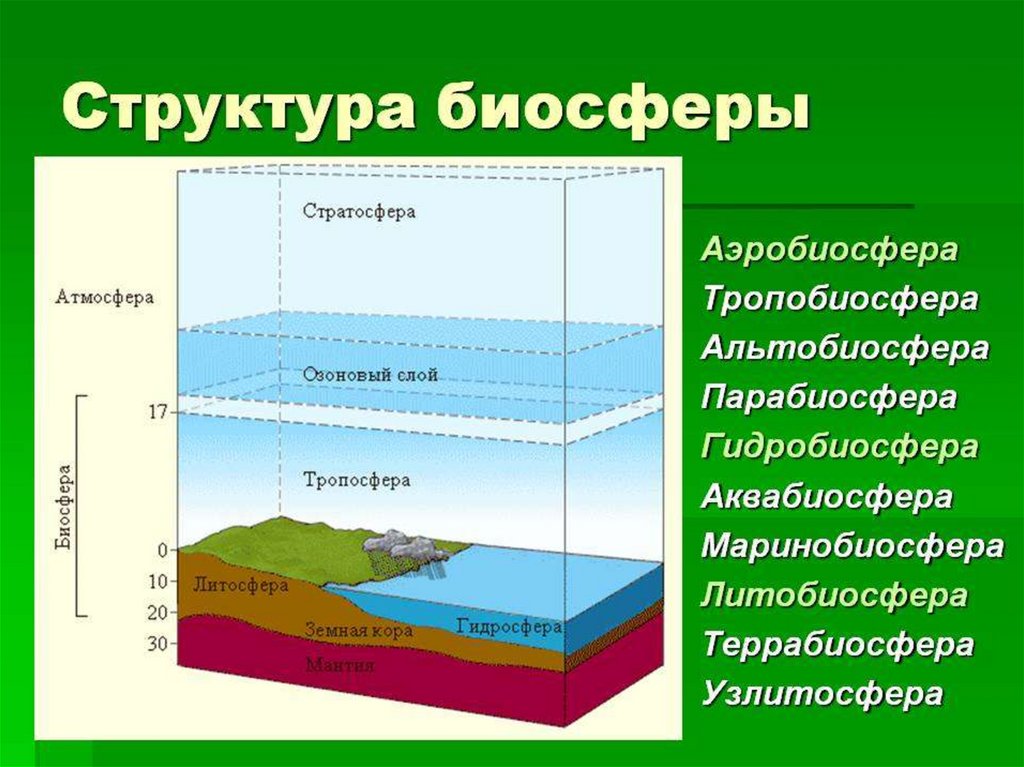 Биосфера антропосфера гидросфера порядок формирования