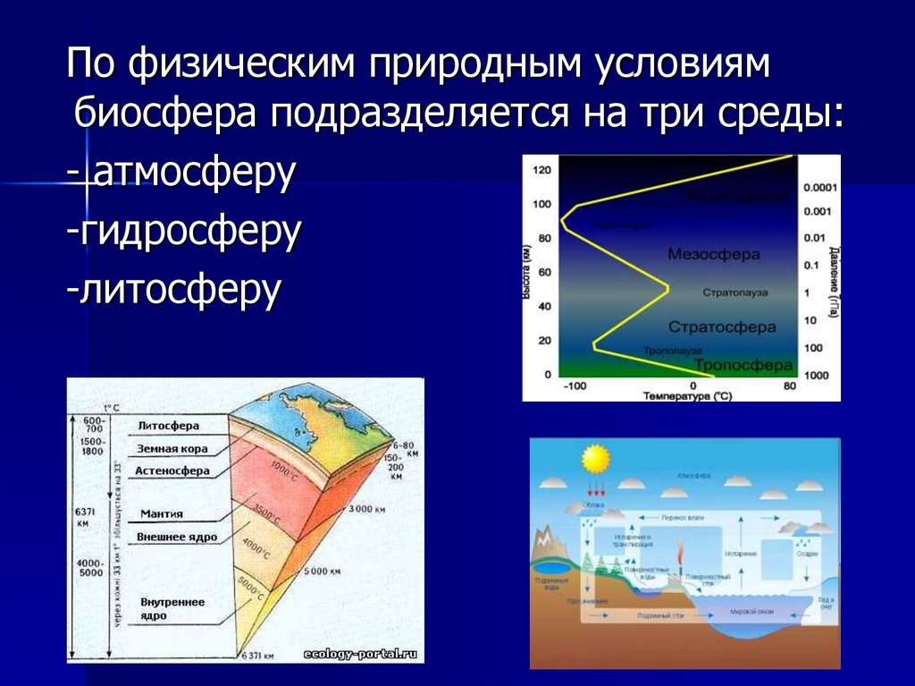 Верхняя часть литосферы входит в состав биосферы. Биосфера определение. Границы биосферы. Структура и границы биосферы. Где границы биосферы.