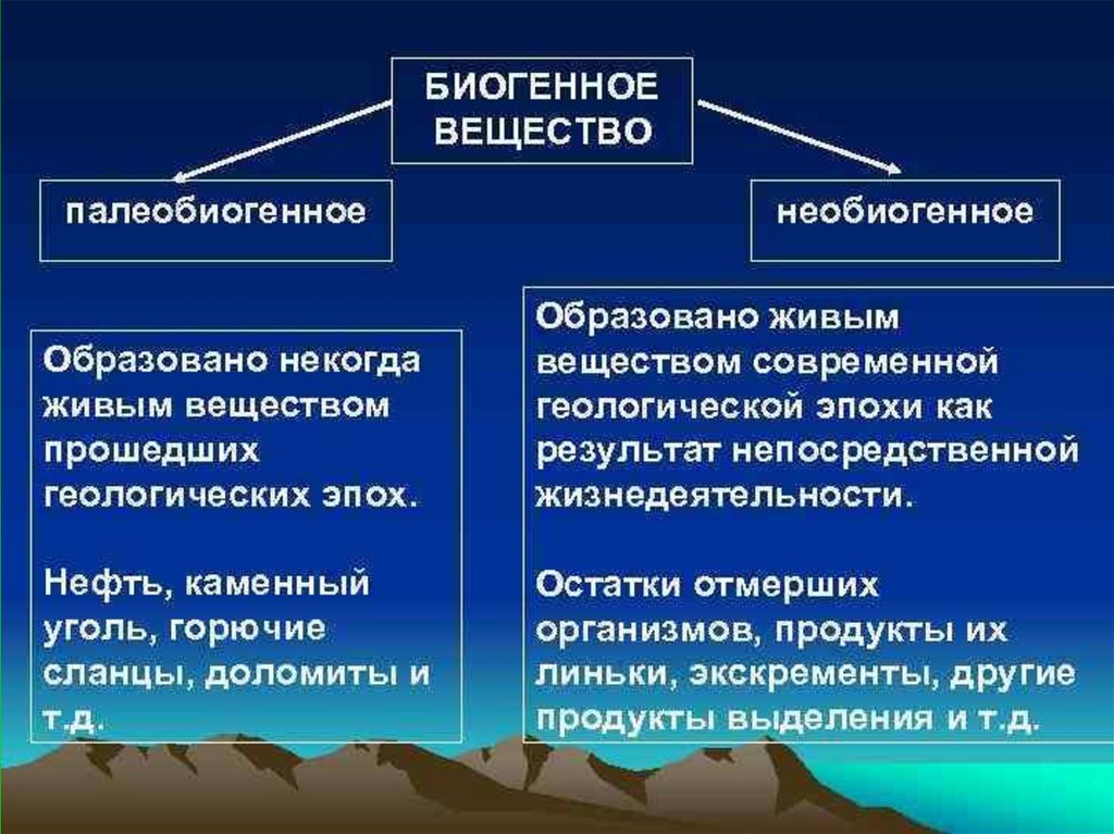 Биогенное вещество биосферы