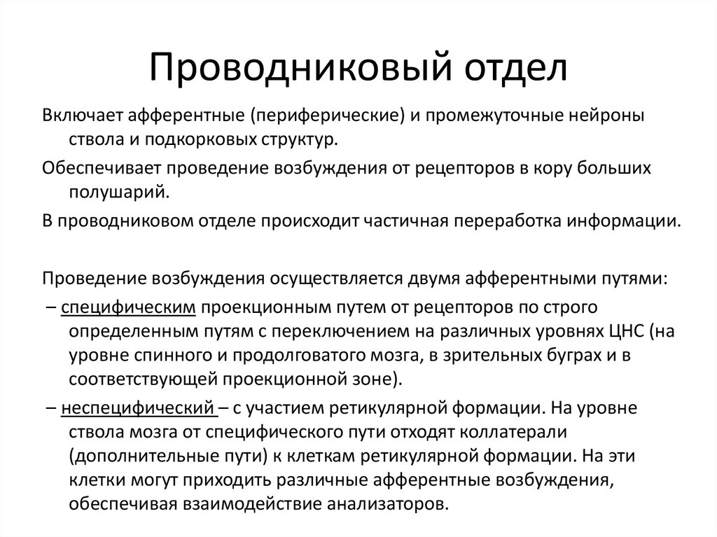 Проводниковый отдел. Анализаторные системы человека.