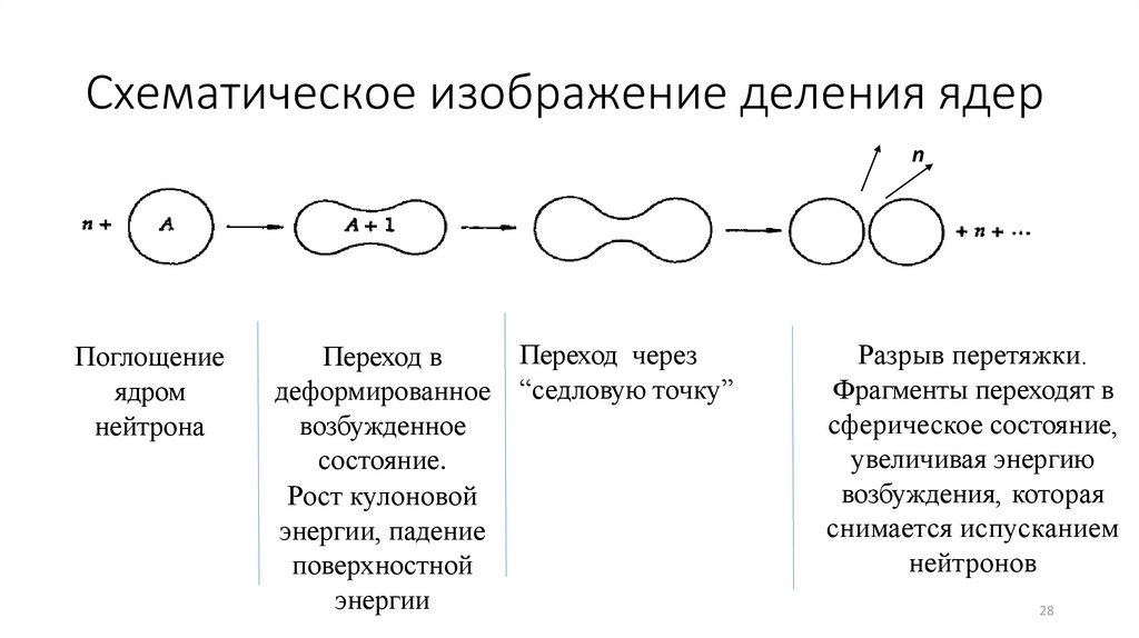 Схематическое изображение деления ядер