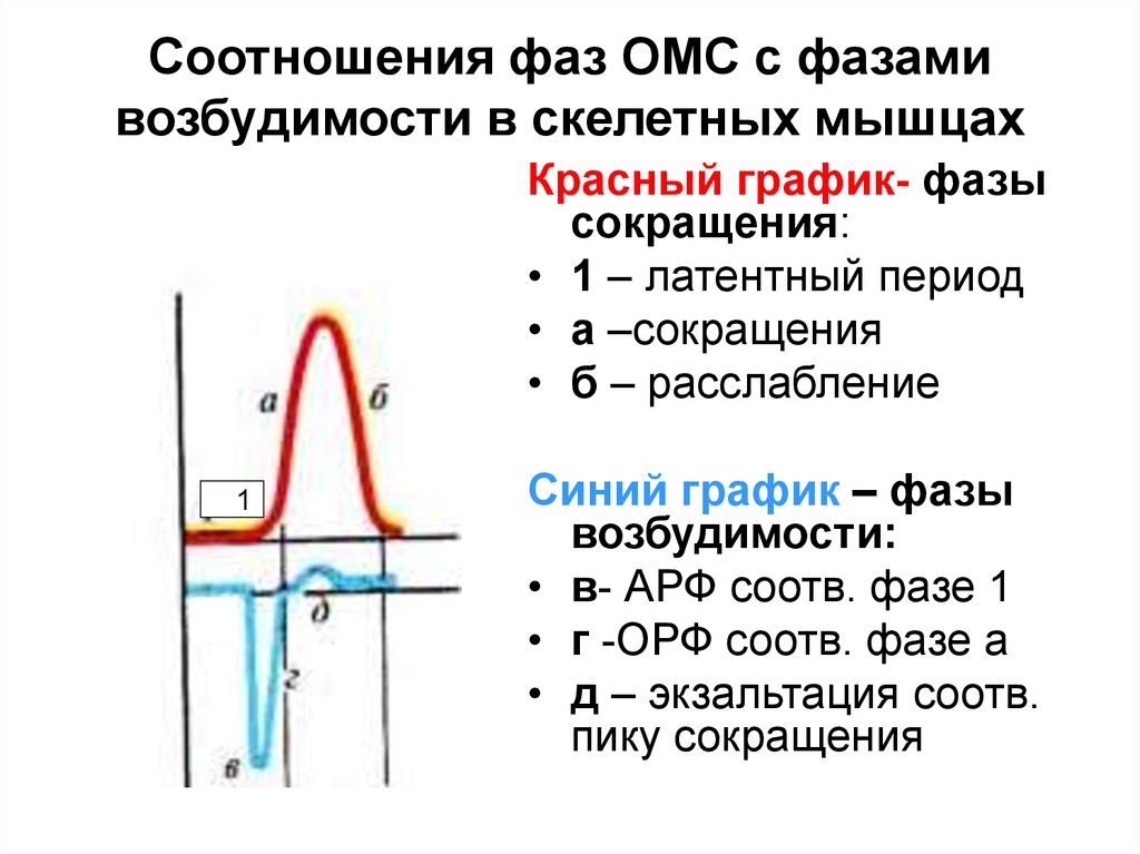 Уровни возбудимости