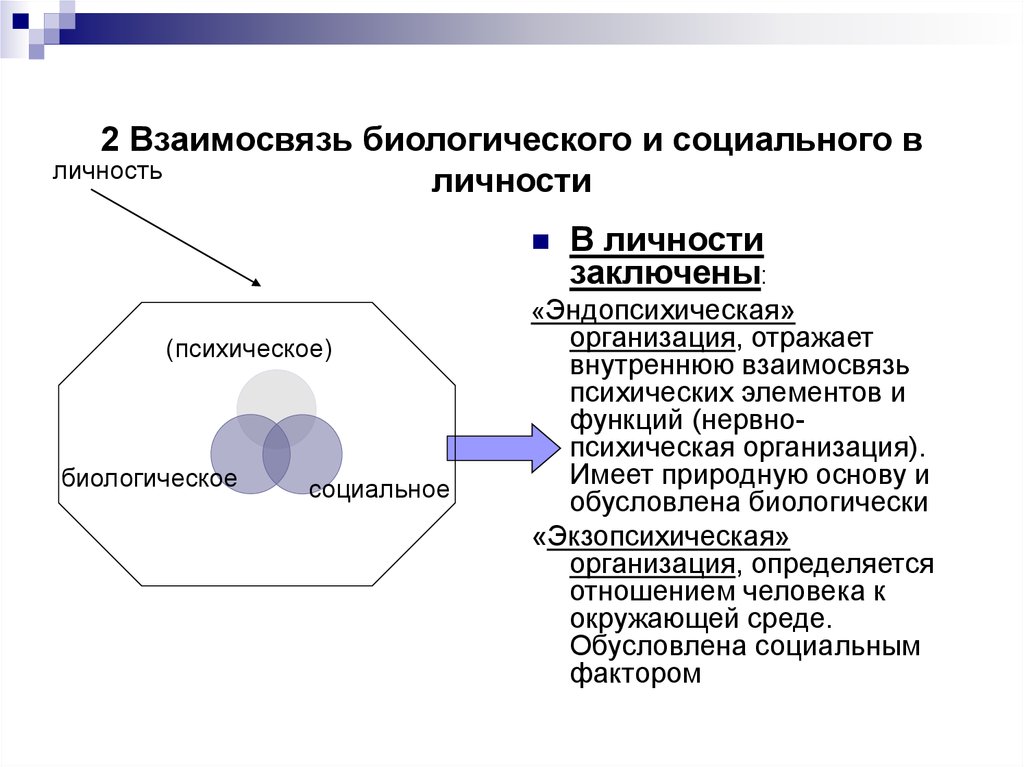 Биологические и психические особенности