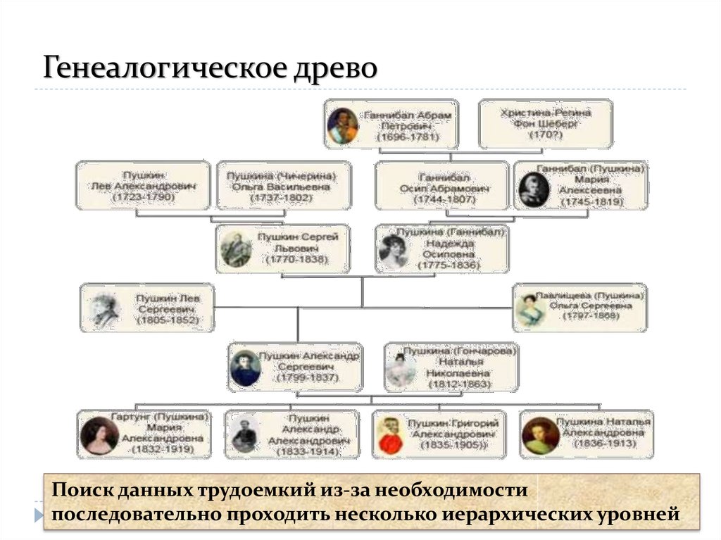 Дерево пушкина. Родовое дерево Пушкина. Генеалогическое Древо Пушкина. Генетическое Древо Пушкина. Семейное дерево Пушкина.