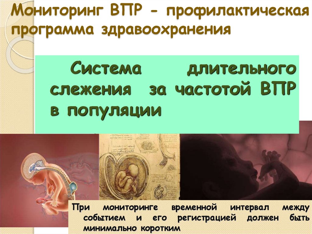 Мониторинг впр