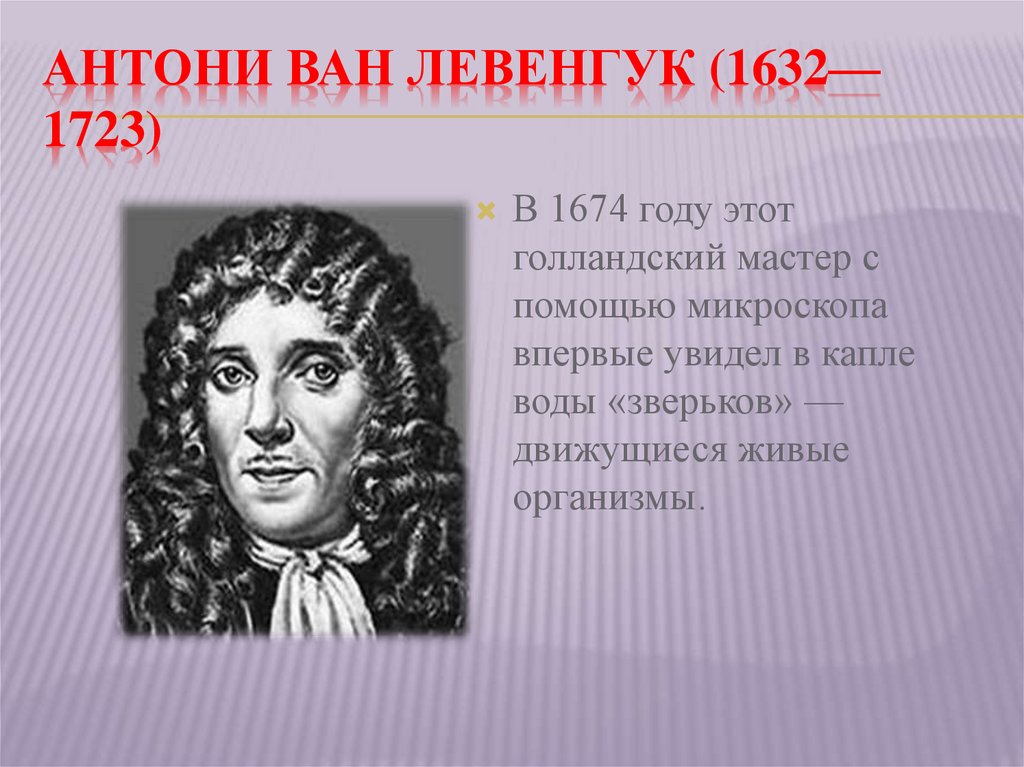 Какой метод использовал антони ван левенгук