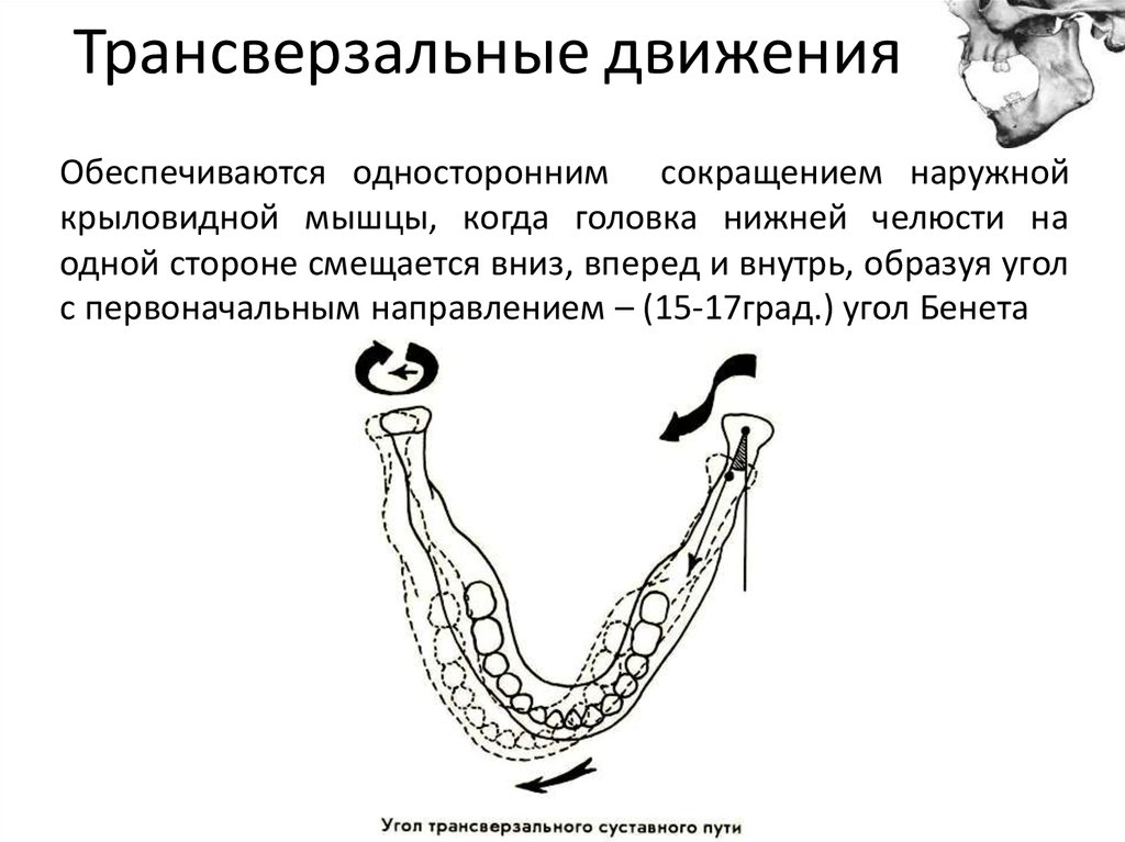 Аппараты воспроизводящие вертикальные движения нижней челюсти