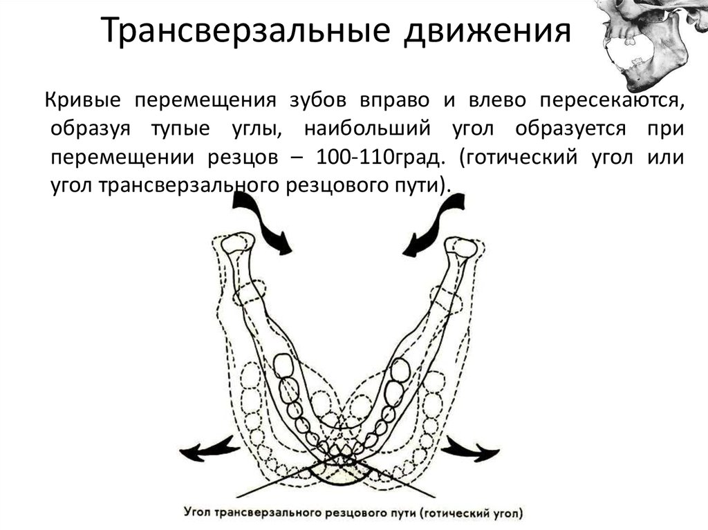 Движение нижней челюсти