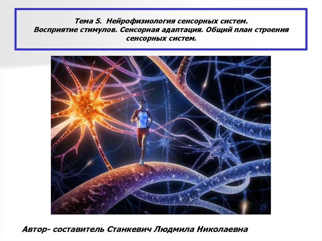 С точки зрения нейрофизиологии информация это