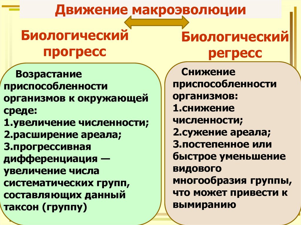 Макроэволюция таксоны