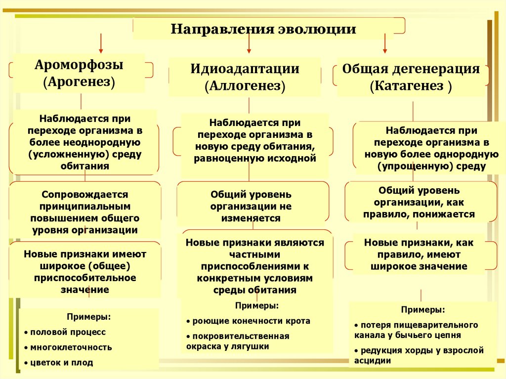 Арогенез аллогенез катагенез презентация