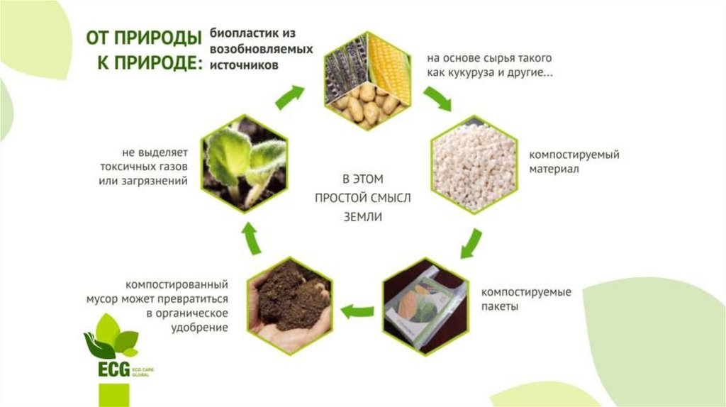 Разлагаем полимеры проект