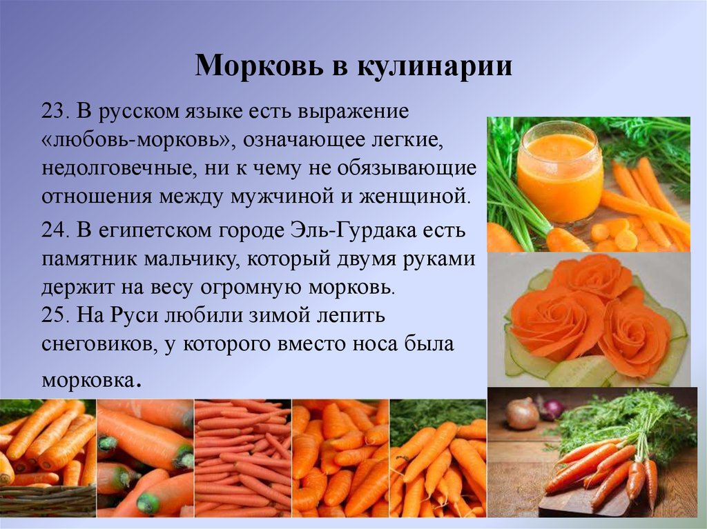 Морковь относится к группе