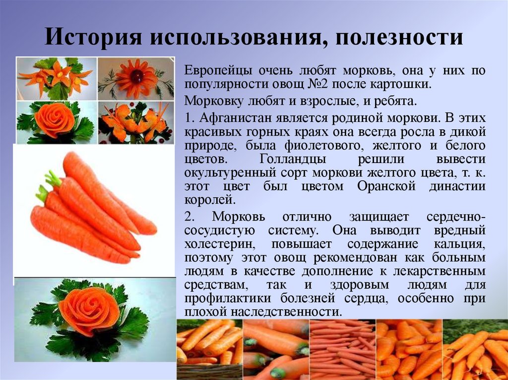 Морковь относится к группе. Презентация на тему морковь. Морковь для презентации. Морковка для презентации. Интересные факты о морковке.