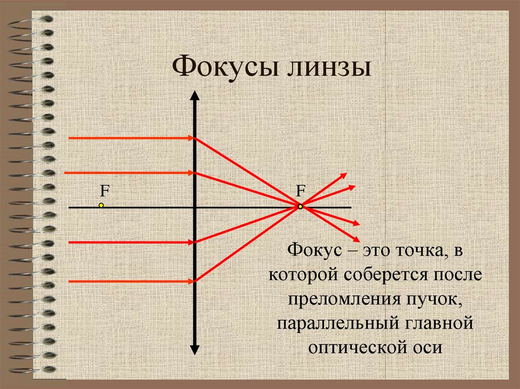 На рисунке показано расположение двух линз f1 главный фокус собирающей линзы f2 главный фокус