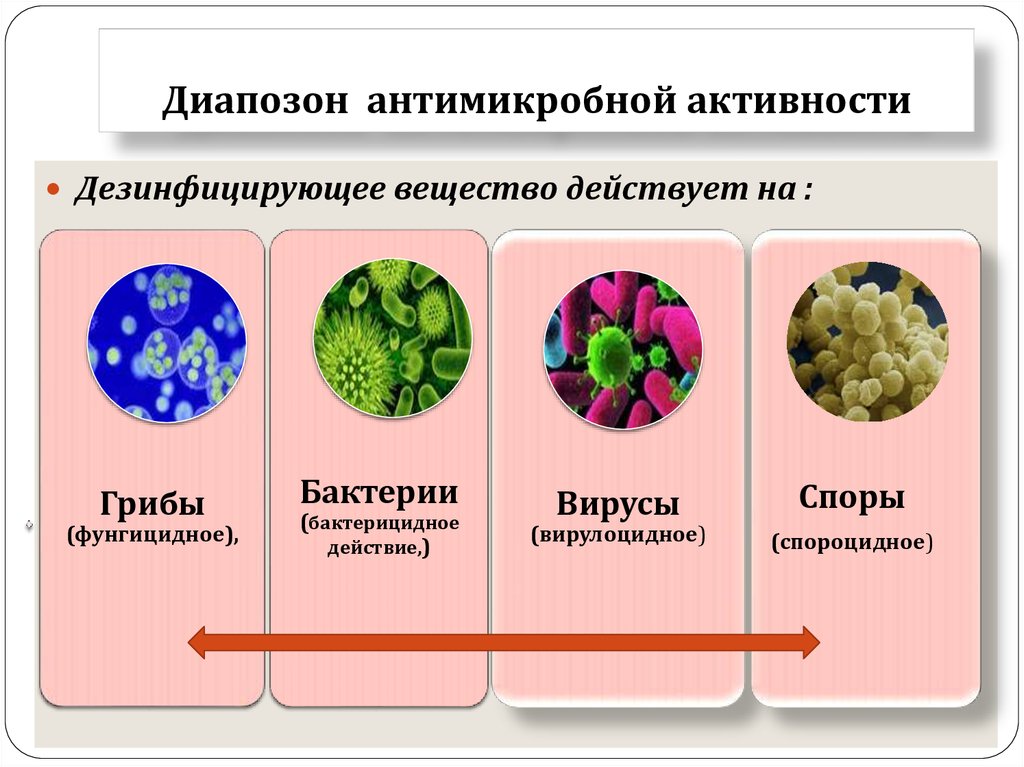 Диапозон антимикробной активности