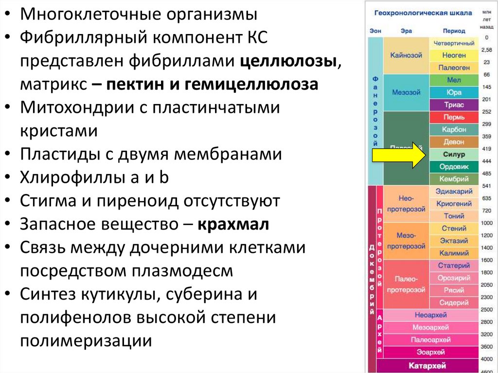 Презентация систематика 11 класс