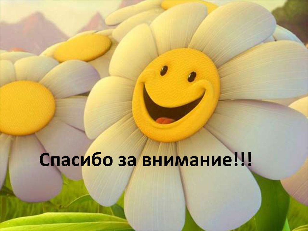 Спасибо за внимание!!!