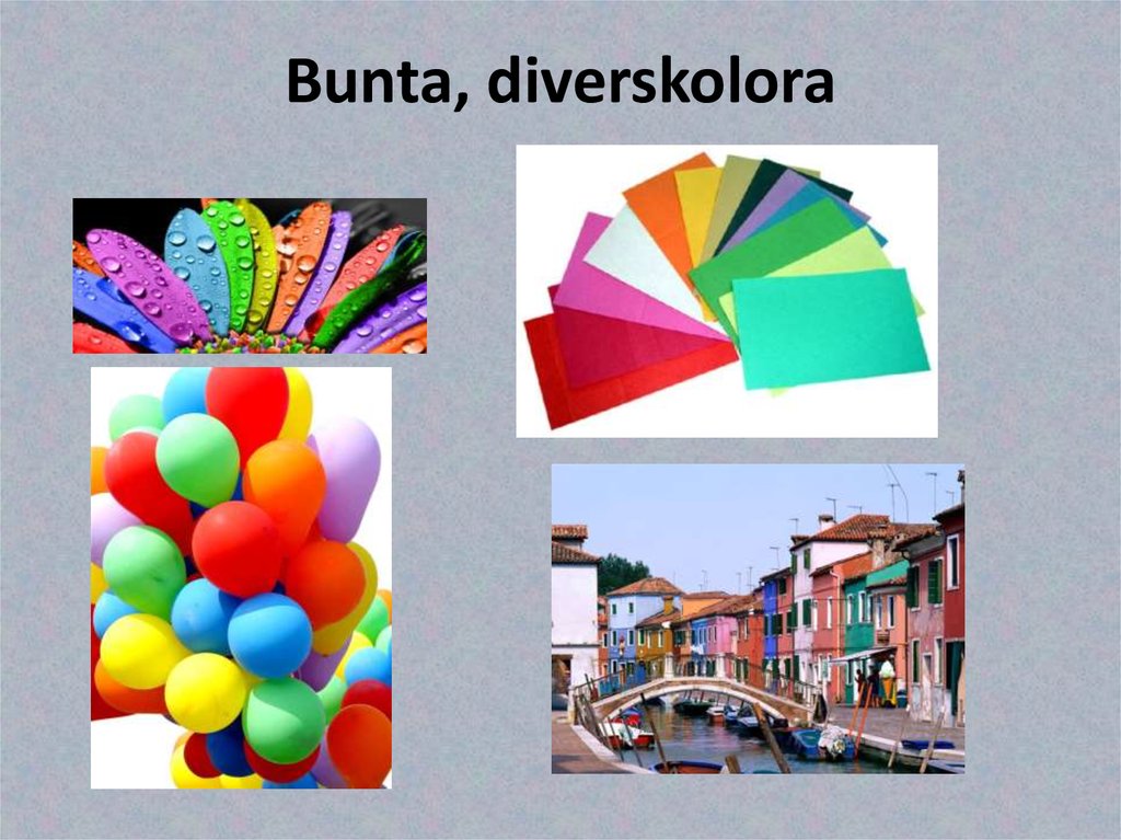 Bunta, diverskolora