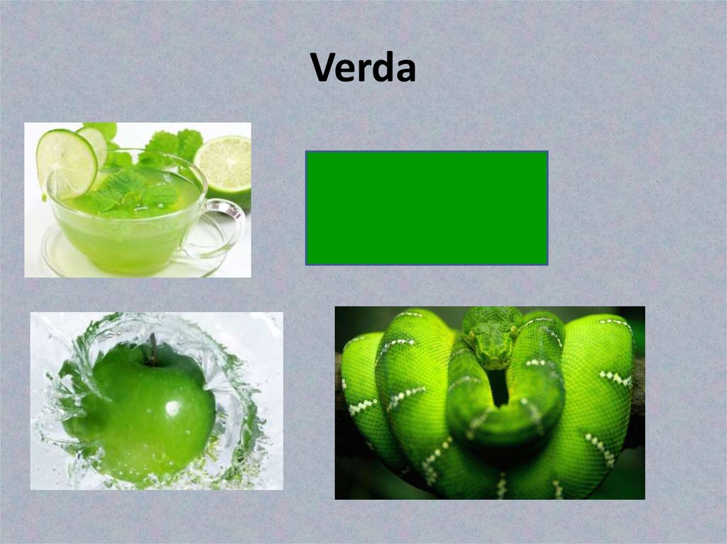 Verda